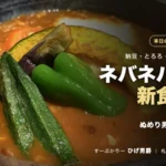 ひげ男爵の日替わりメニューぬめり男爵。茶色いスープにオクラやピーマン、かぼちゃ、とろろが入った納豆のスープカレー